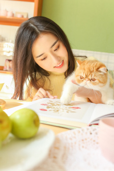 黑猫1991完整版在线观看